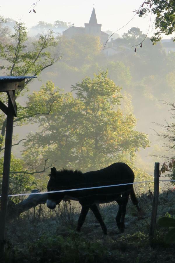 Le Verger Gites Castelnau D'Auzan ภายนอก รูปภาพ